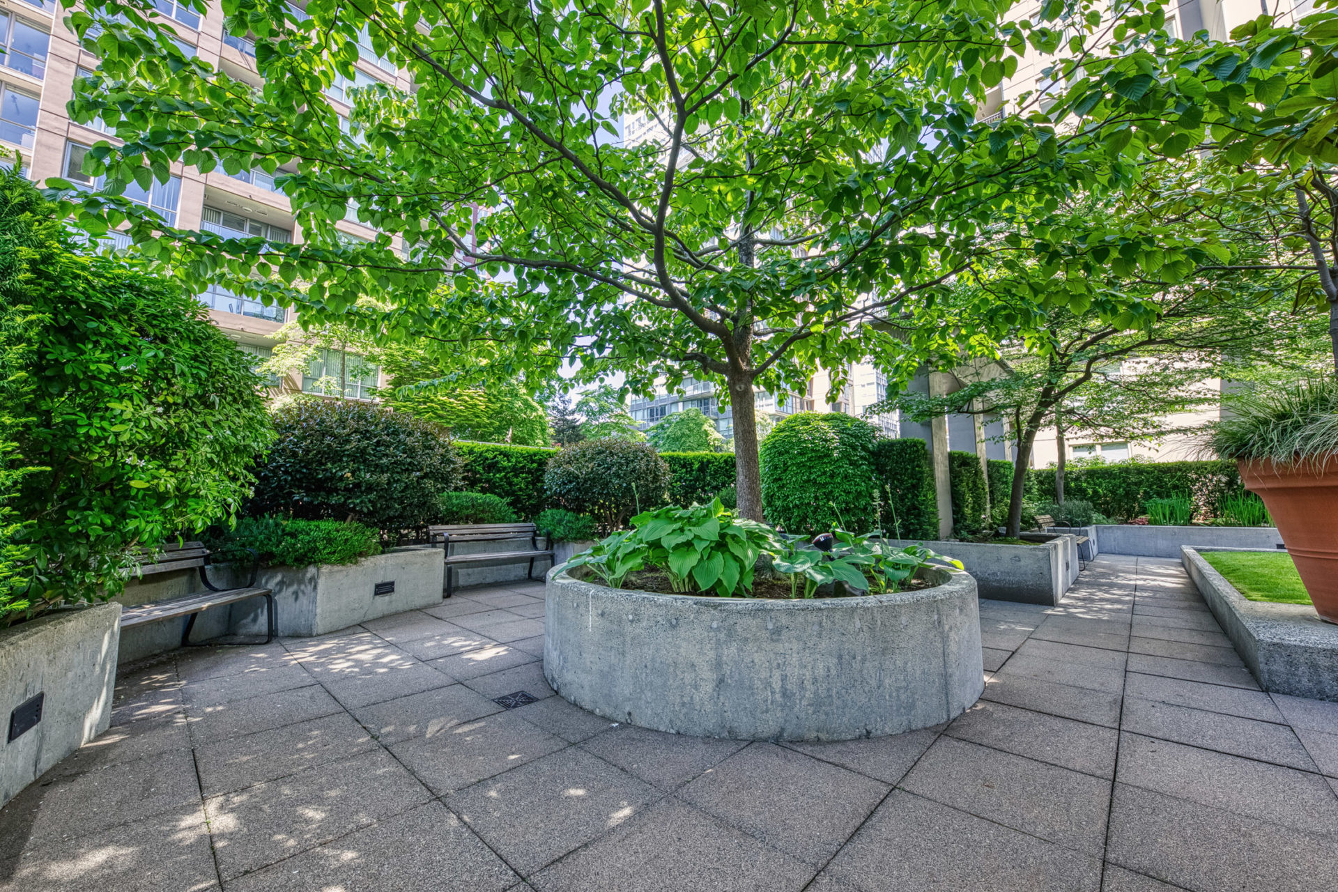 TH8 - 989 Richards Street