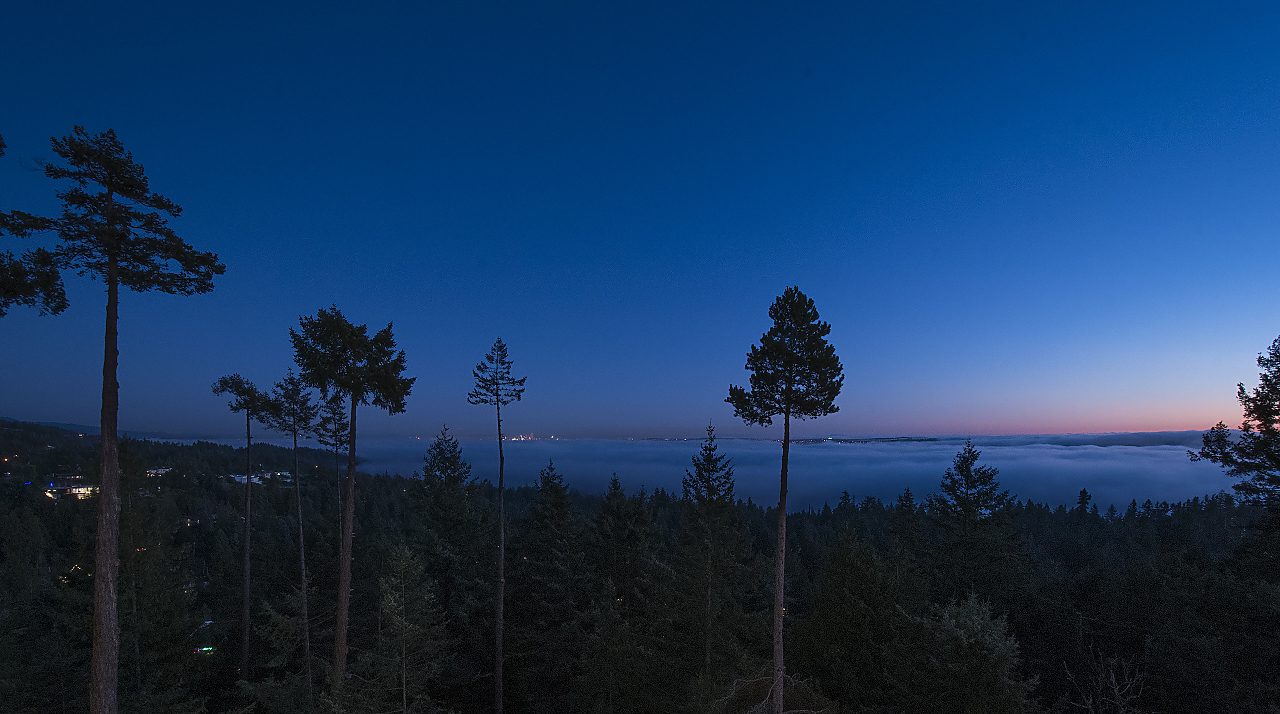 5032 Pinetree Crescent