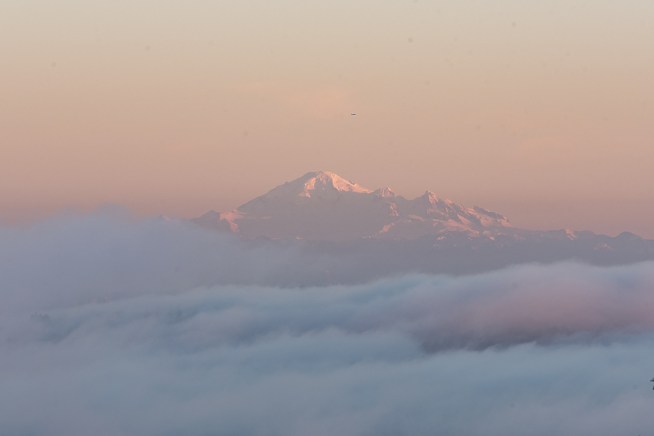 5032 Pinetree Crescent