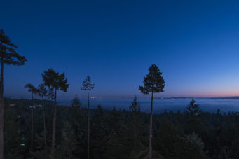 5032 Pinetree Crescent