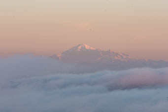 5032 Pinetree Crescent