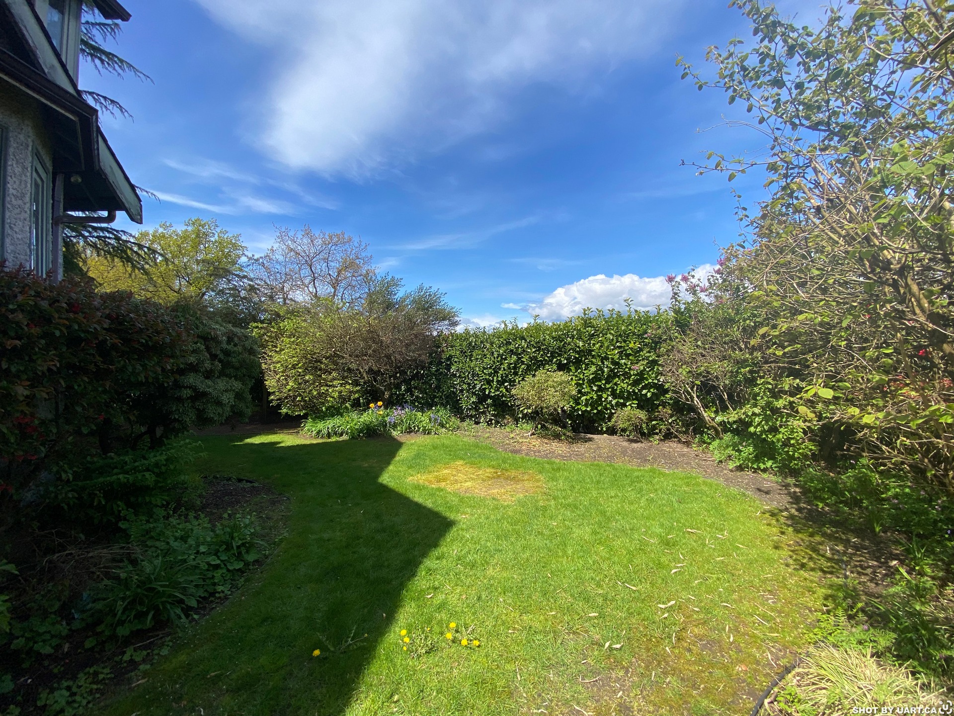 4296 W 8TH AVE, Vancouver