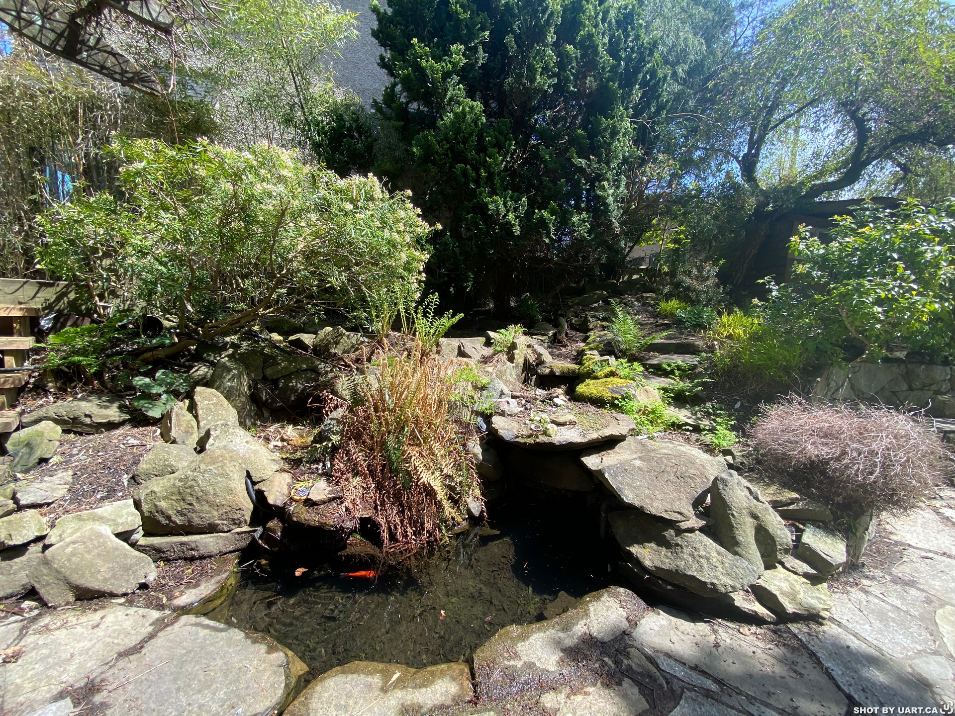 4296 W 8TH AVE, Vancouver