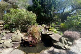 4296 W 8TH AVE, Vancouver