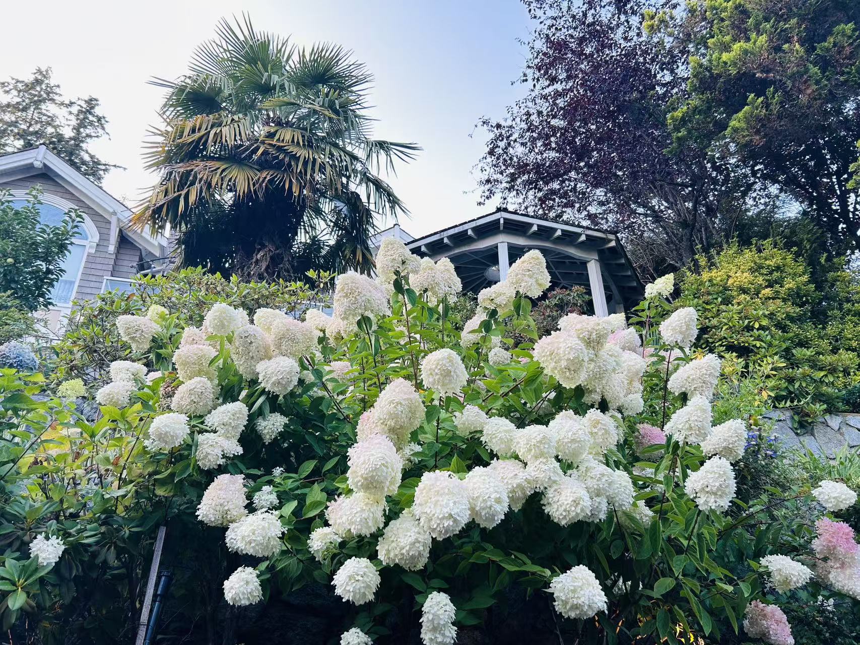 STUNNING CUSTOM HOME IN PRESTIGIOUS WEST BAY - 3395 Thompson Crescent