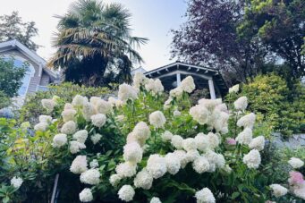 STUNNING CUSTOM HOME IN PRESTIGIOUS WEST BAY - 3395 Thompson Crescent